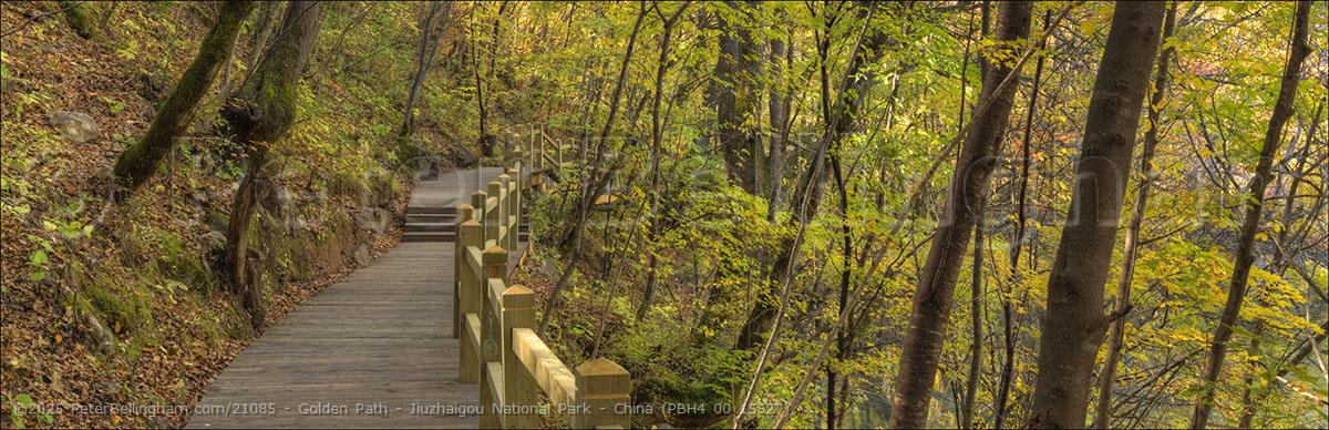 Peter Bellingham Photography Golden Path - Jiuzhaigou National Park - China (PBH4 00 15527)